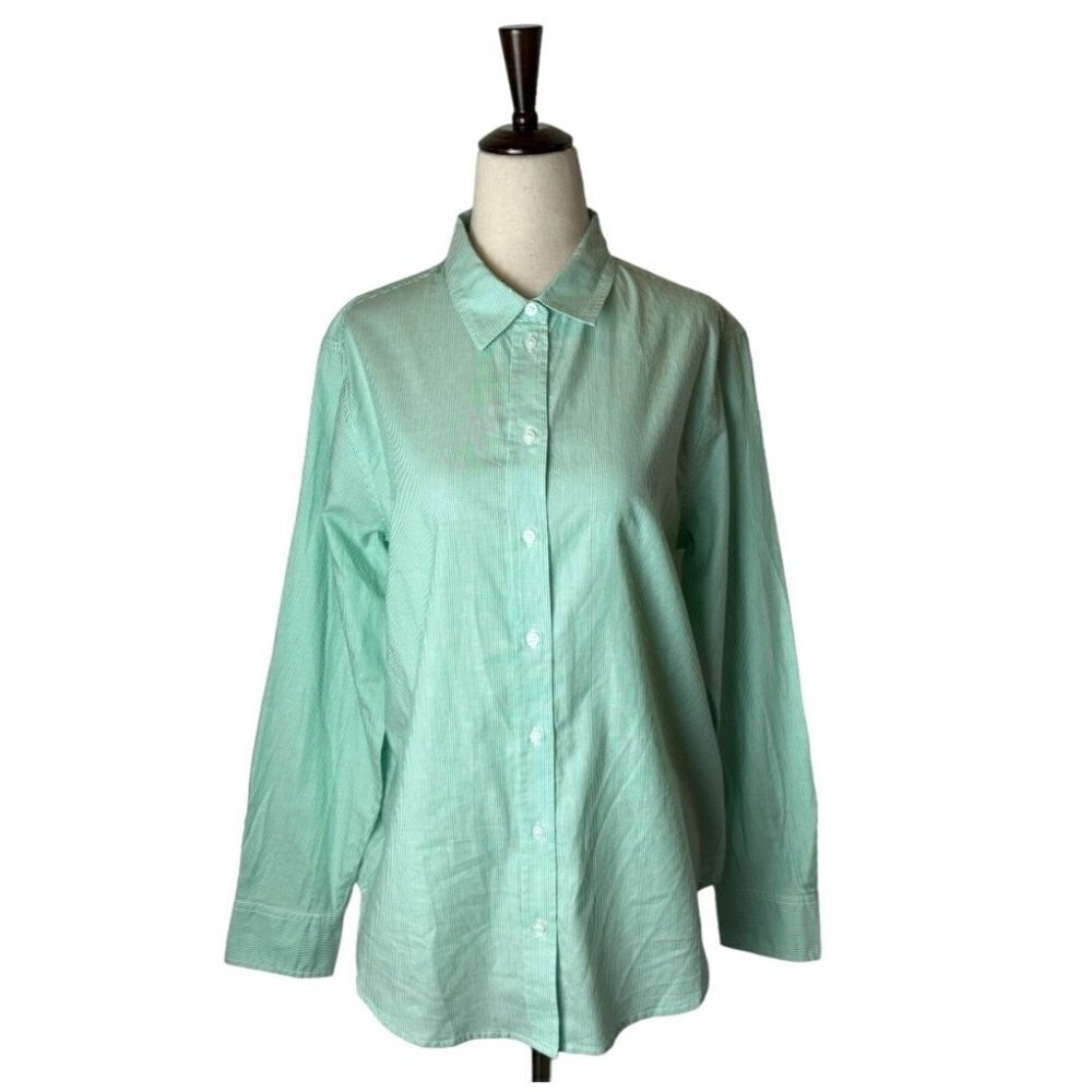 Everlane Mint Green And White Striped Cotton The Relaxed Oxford Shirt Size 6 NWT
